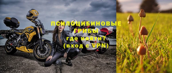 прущие грибы Абдулино