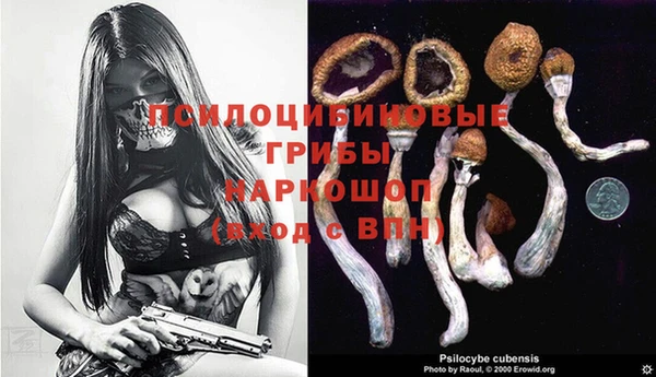прущие грибы Абдулино