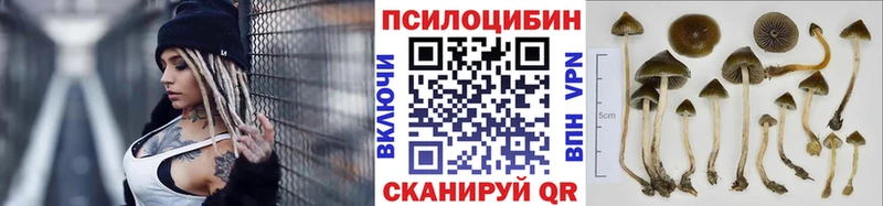 Галлюциногенные грибы мицелий  Ильский 