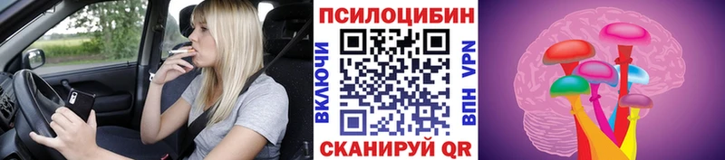 Псилоцибиновые грибы GOLDEN TEACHER Ильский
